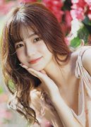 <b>新严沉违的规律、组织规律、清廉规律和生</b>